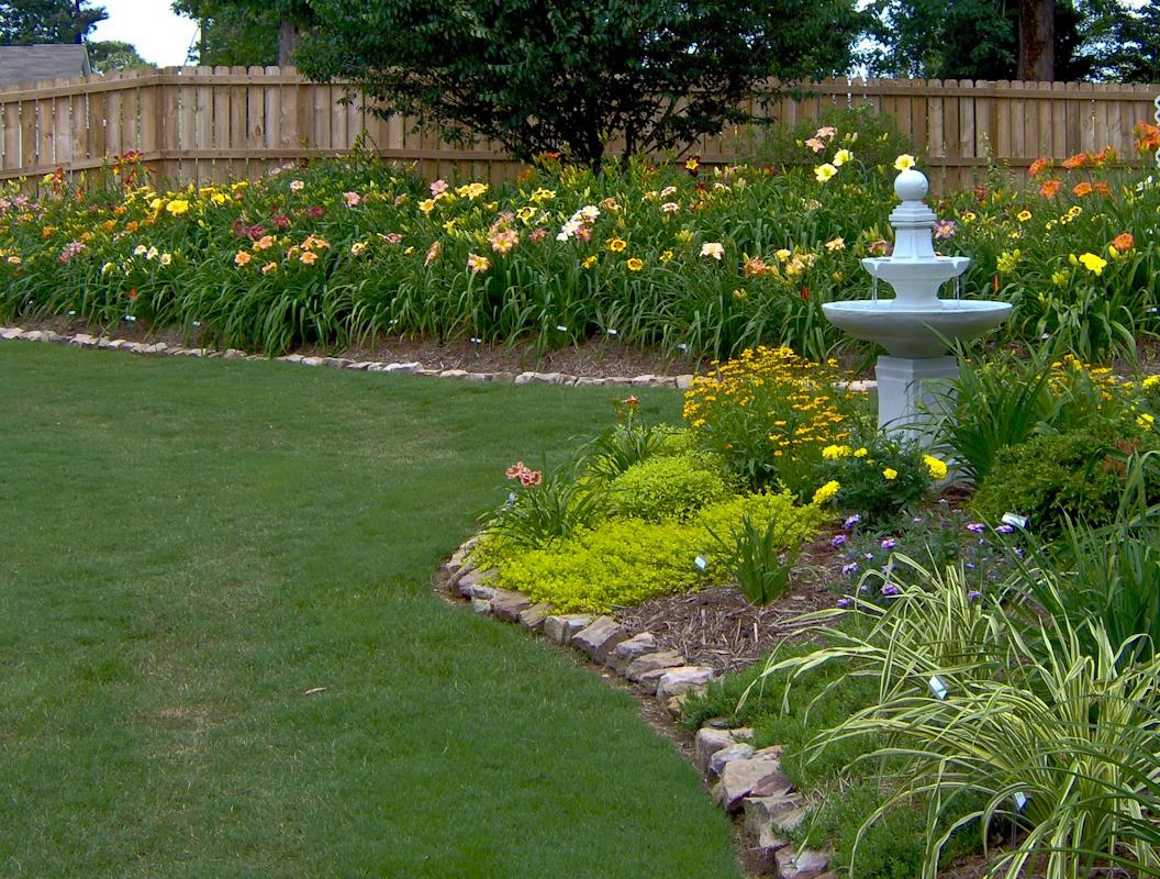 Daylilies in the Landscape